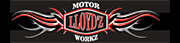 Go To Lloydz' store on VisionRiders